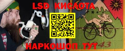 шишки Краснодар