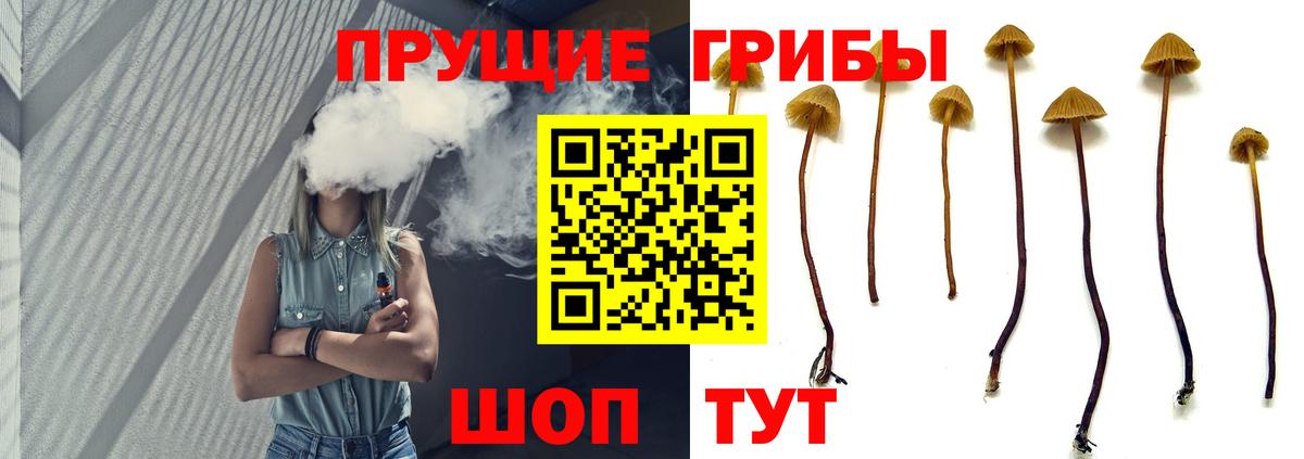 сколько стоит  Вход с VPN  Галлюциногенные грибы Cubensis  Красный Сулин  Псилоцибиновые грибы GOLDEN TEACHER 
