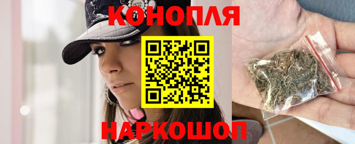 Канабис планчик Красный Сулин